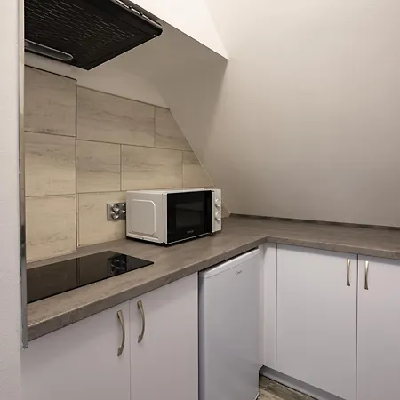Apartament W Lasku Appartement